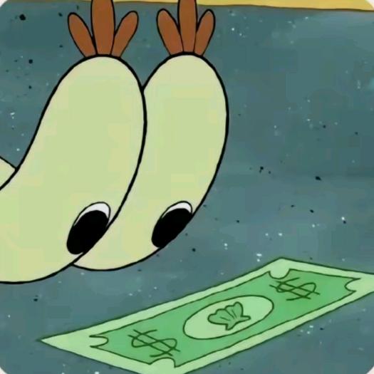 我嘞个豆这是💰