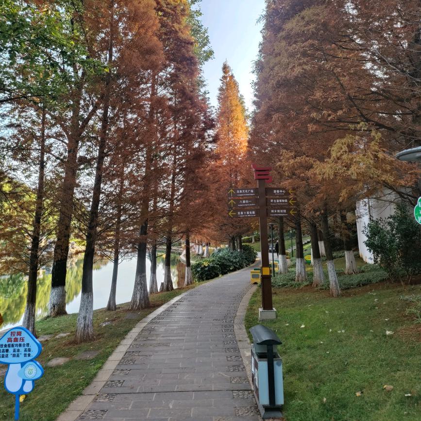 ༊ღ᭄小ꦿ꯭可爱꧔ꦿ᭄💞