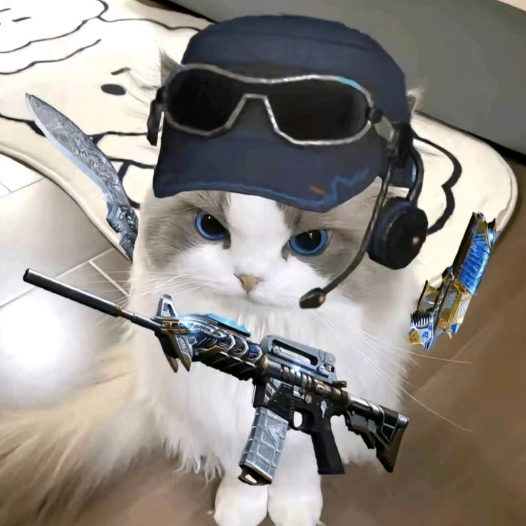 知惜