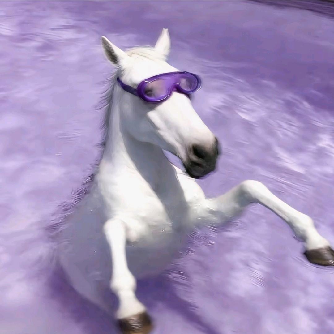 米祺米妮Ni🎈(见嘉祺²超幸福）