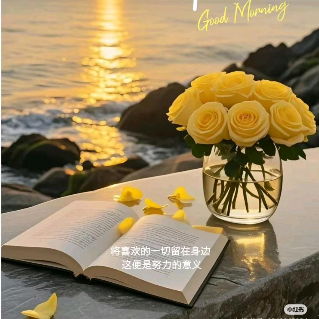 💕W HUI💕🌷🌷