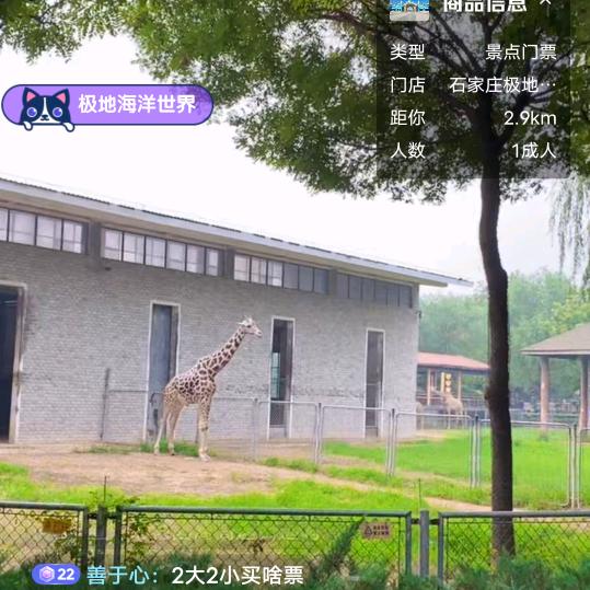 夜雨飘雪呀