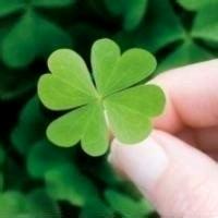 微笑☆面对每一天