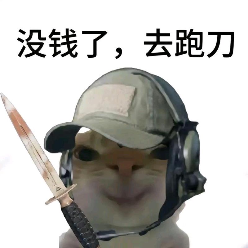 羊肉（三角洲行动）