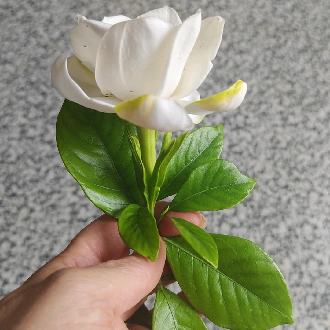 岁月静好