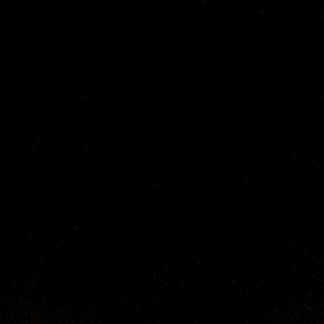 顽强的笨蛋