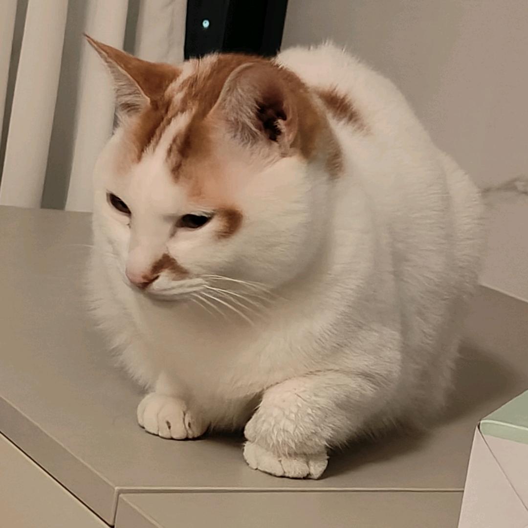 当我又飞到这里