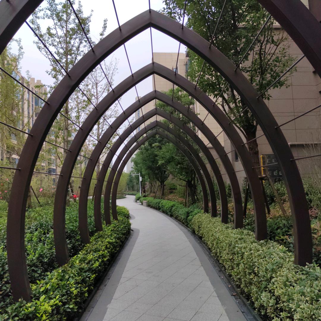 罗列才艺