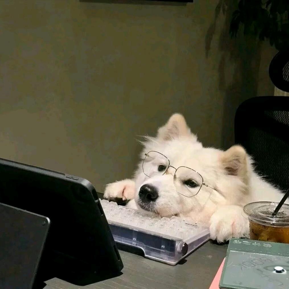 千屿.