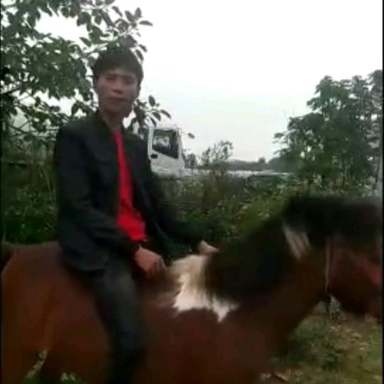 江洪专业上门回收废品哥