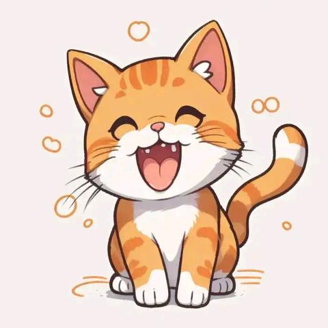 猫暖暖