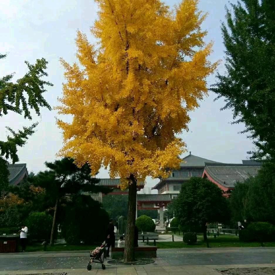 相遇随缘