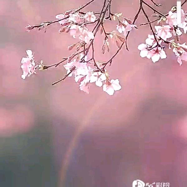 相逢何必
