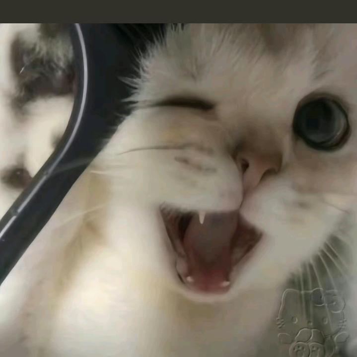 乏术
