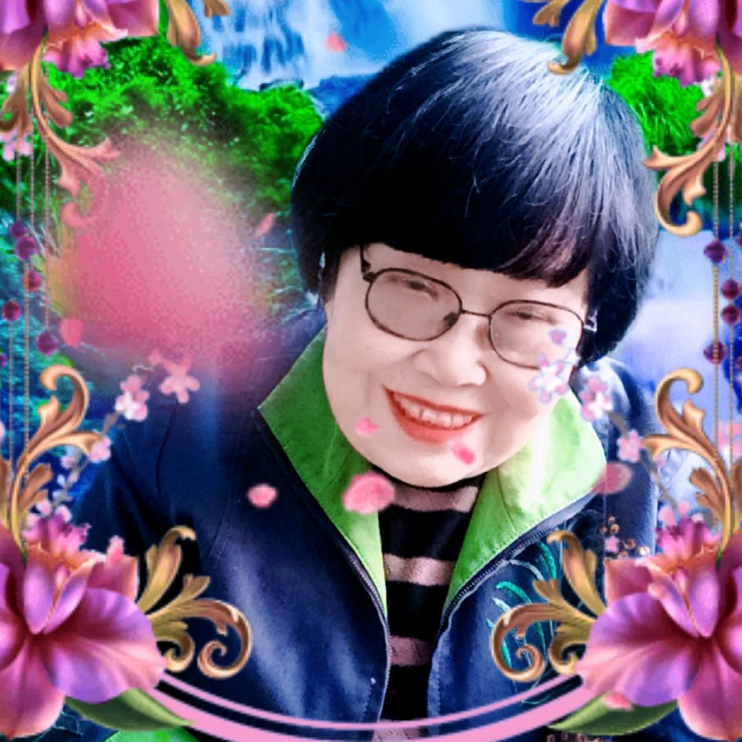 宝坤1号