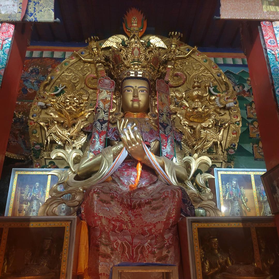 (๑>九寨朱哥<๑）