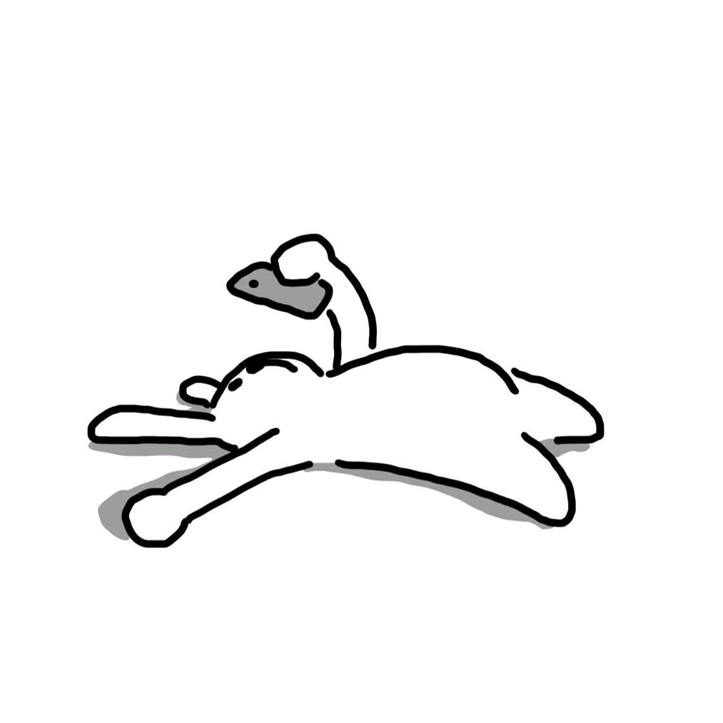 ·-·