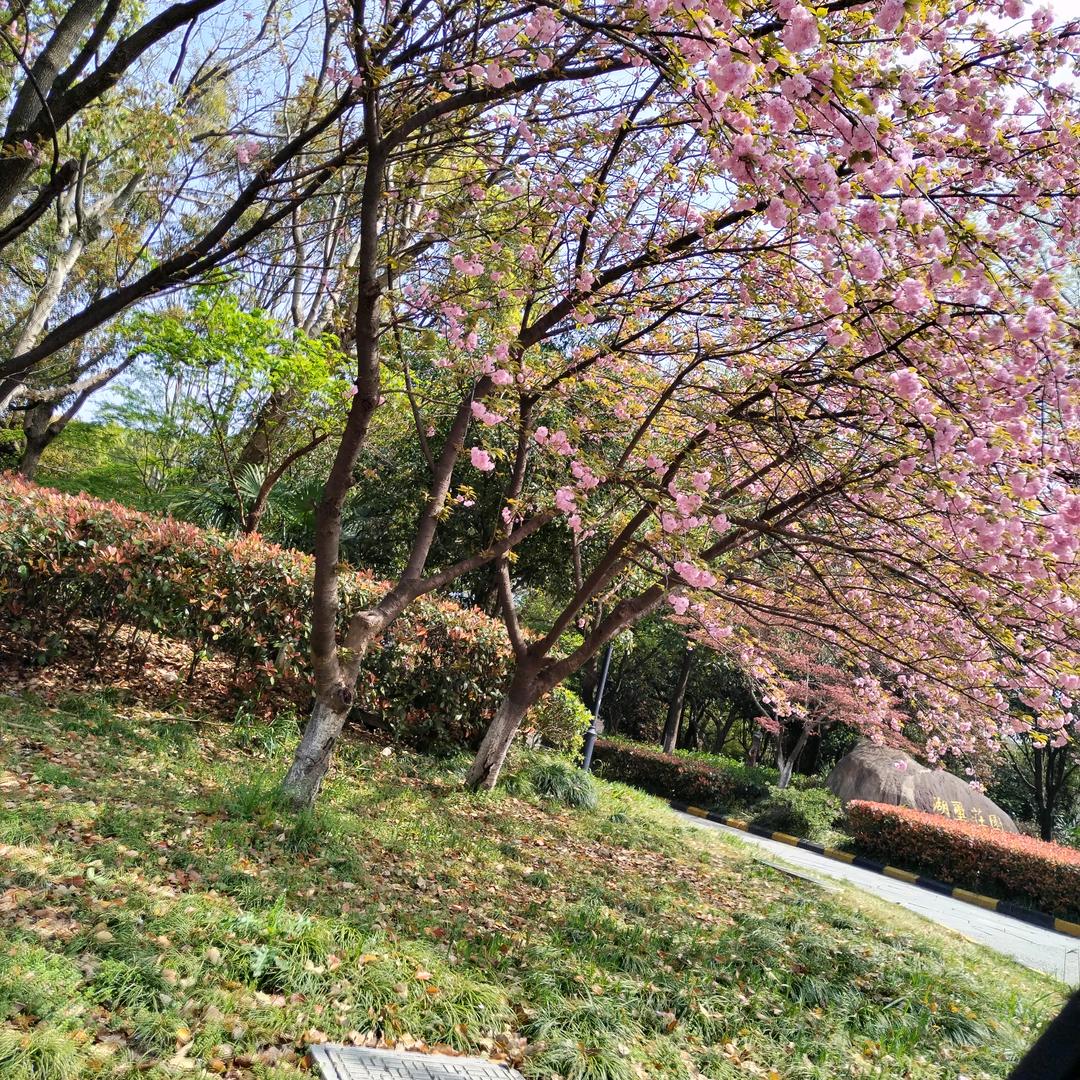 农村帅哥