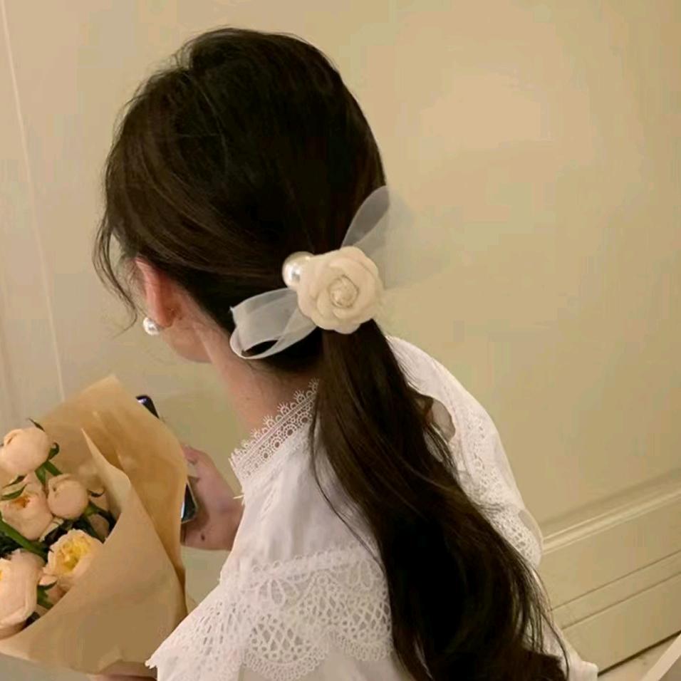 桃桃✨