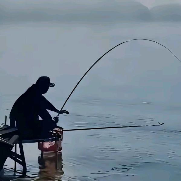 寒江🐟孤影-彬哥