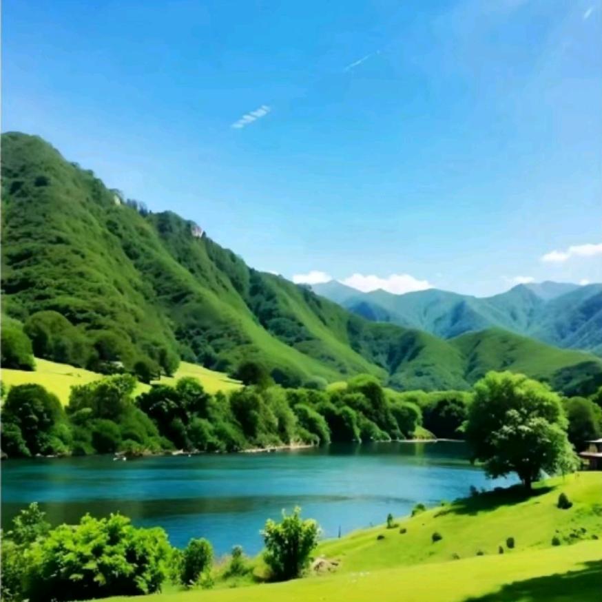 花开富贵，竹报平安