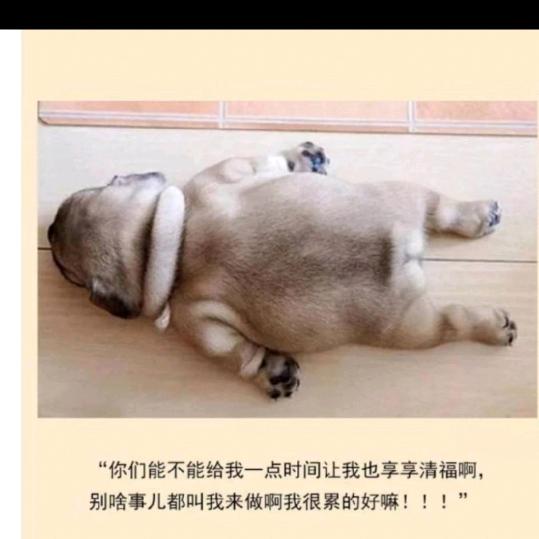 开心的红色土豆