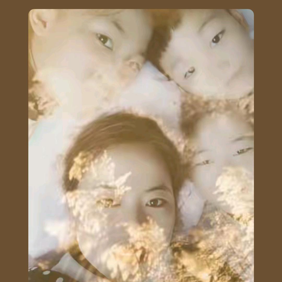 幸福的杨