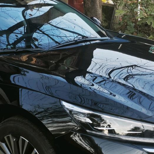 特仑苏限定牛奶