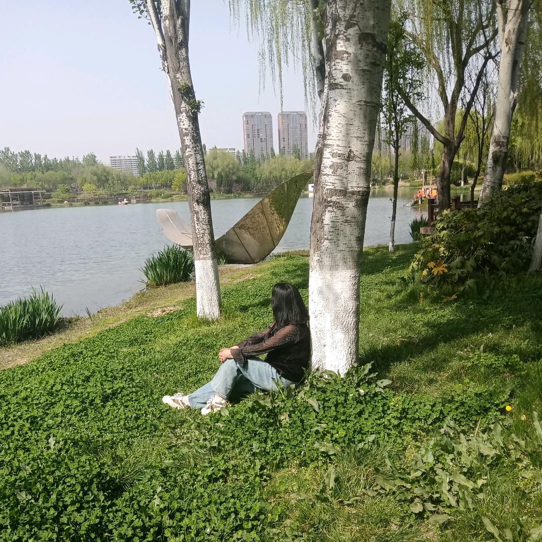 ꧁婷婷꧂
