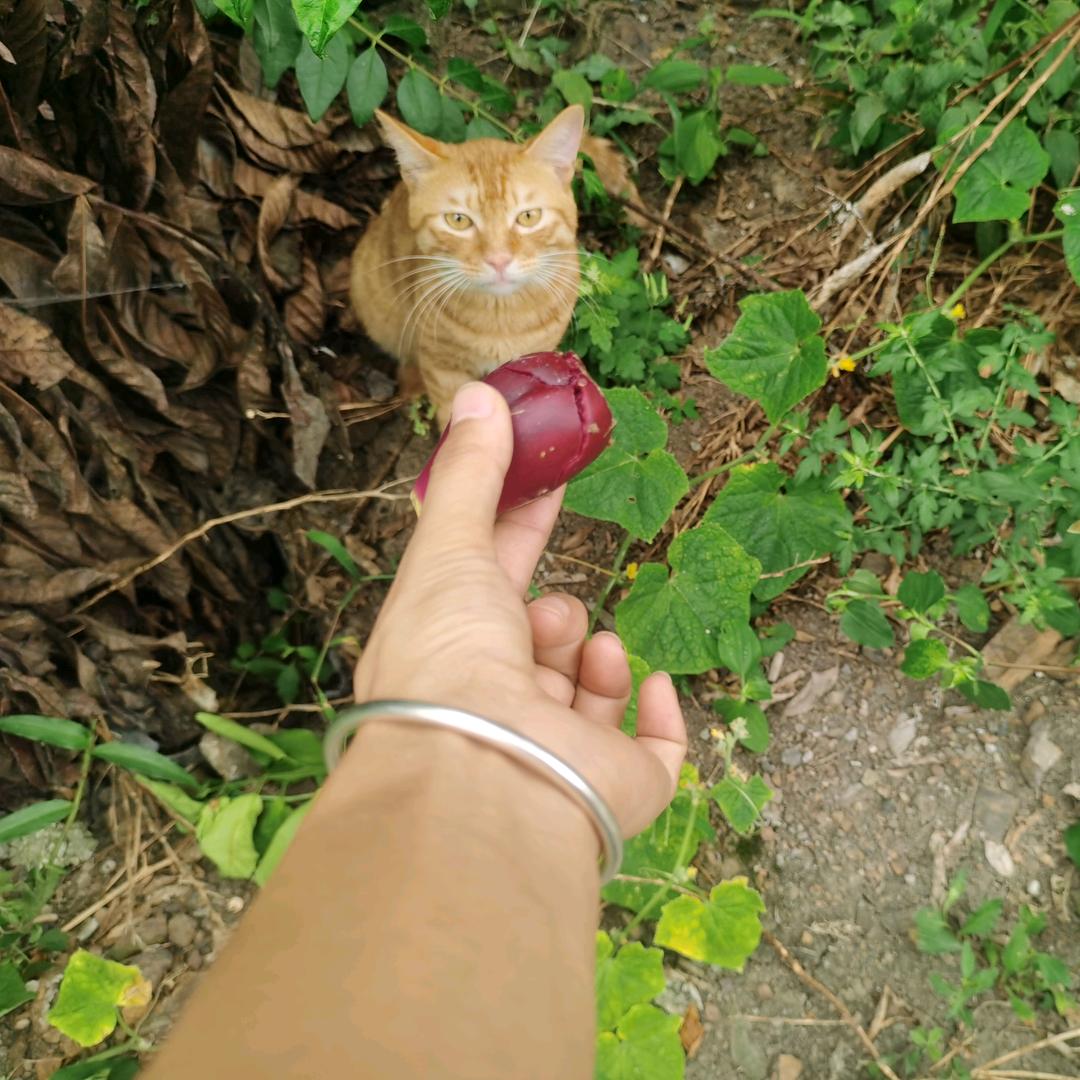 三生有幸遇见你