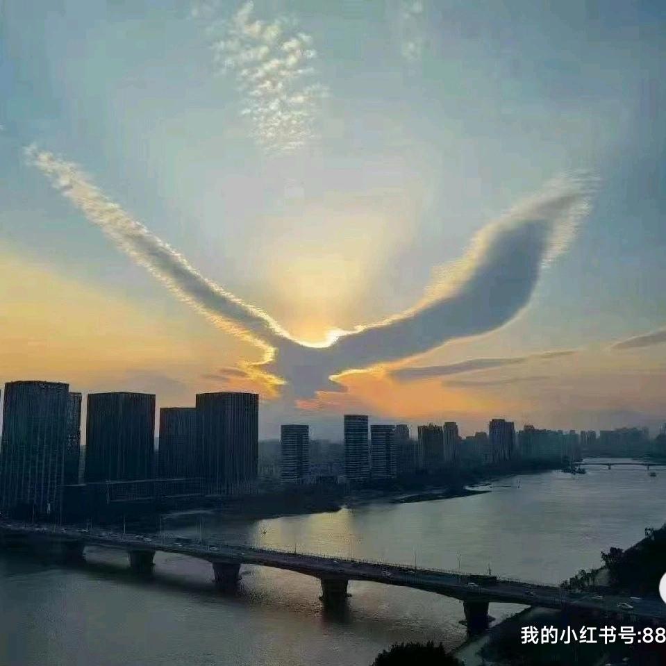 敏试教育金榜老师（学考！春考）