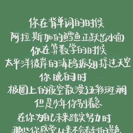 李苏叶