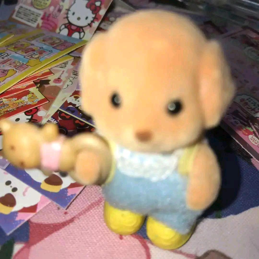 鴻