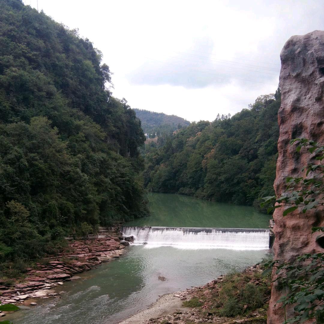 用户92356789凉情菇凉