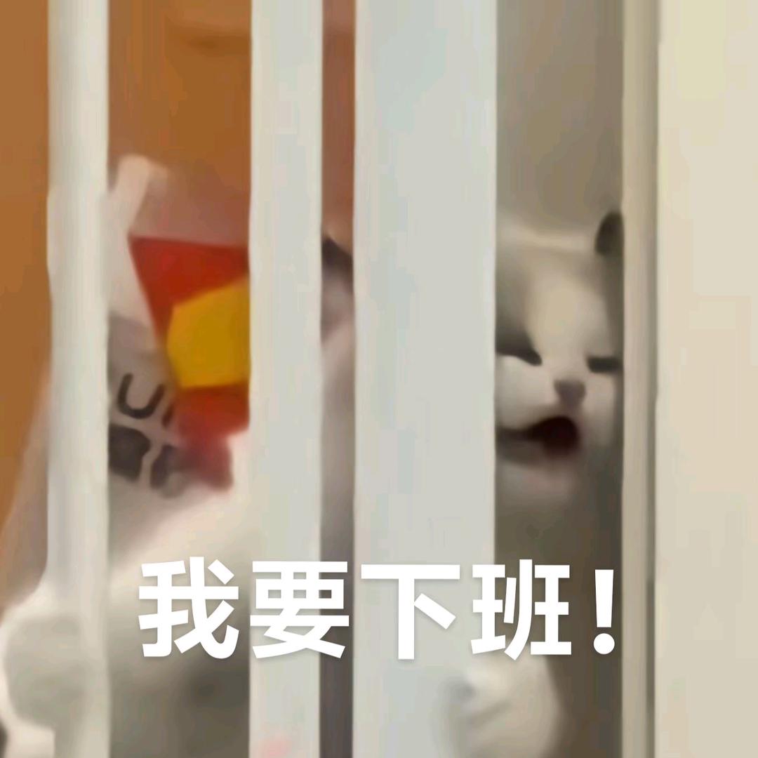林·廉价劳动力·言
