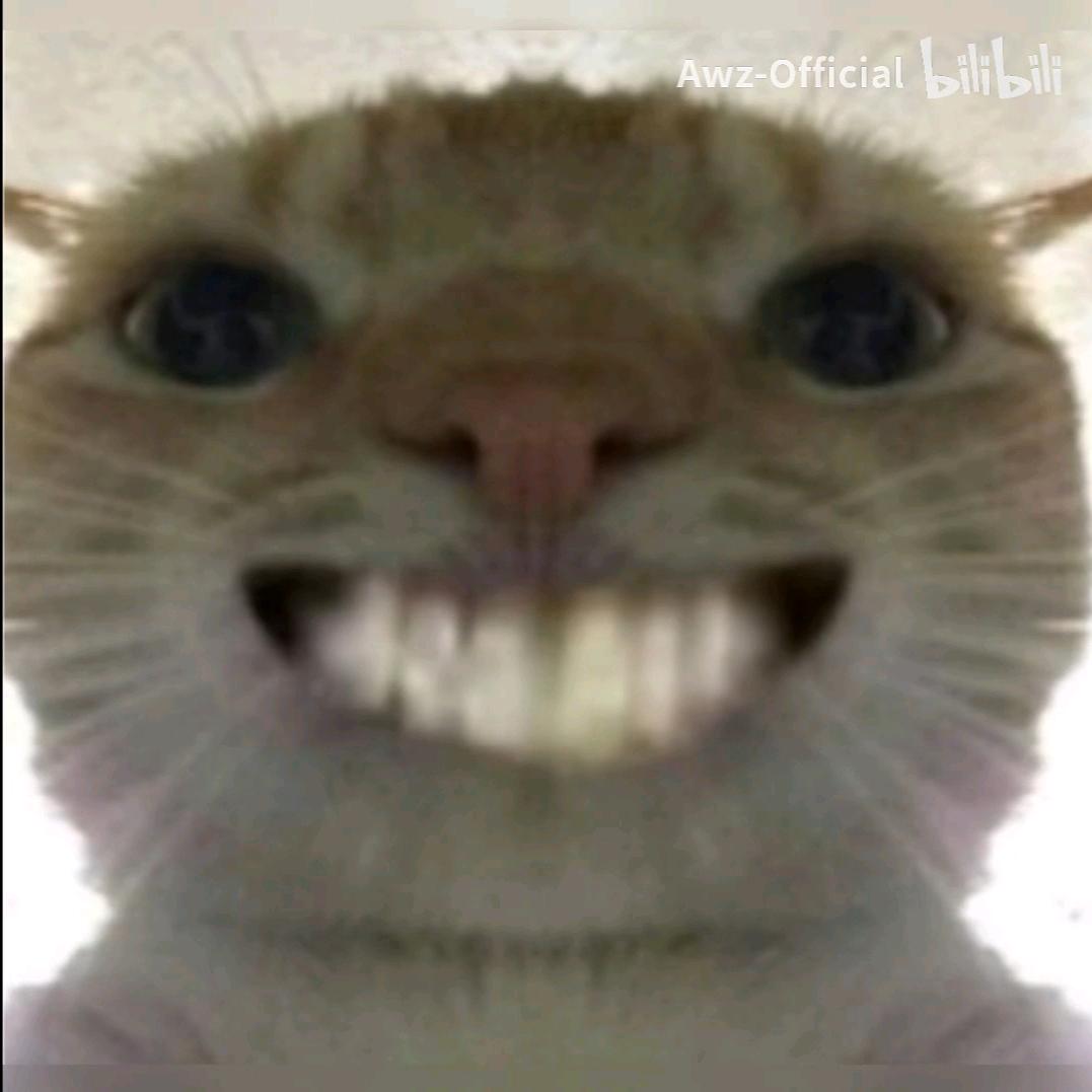 随心而至（三角洲）