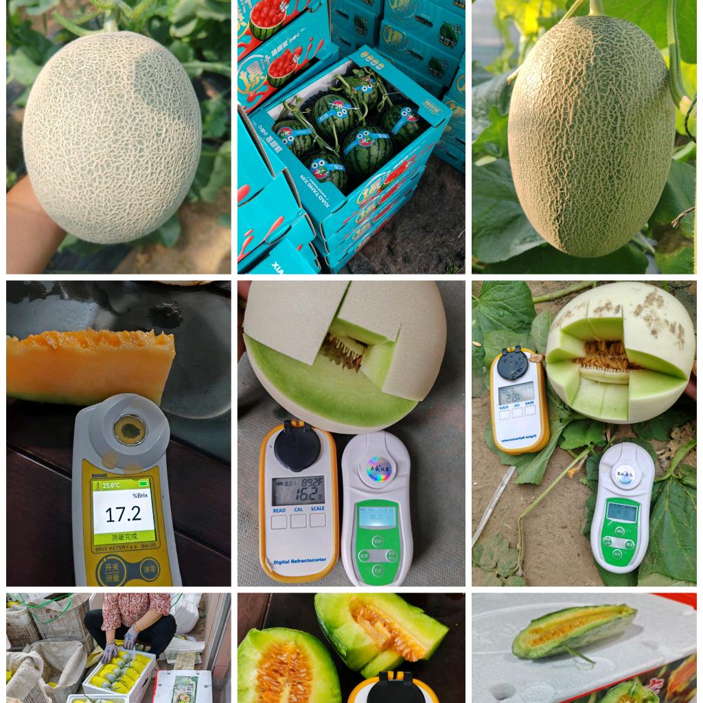 寿光市一亩良品果蔬有限公司