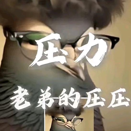 压力！！！