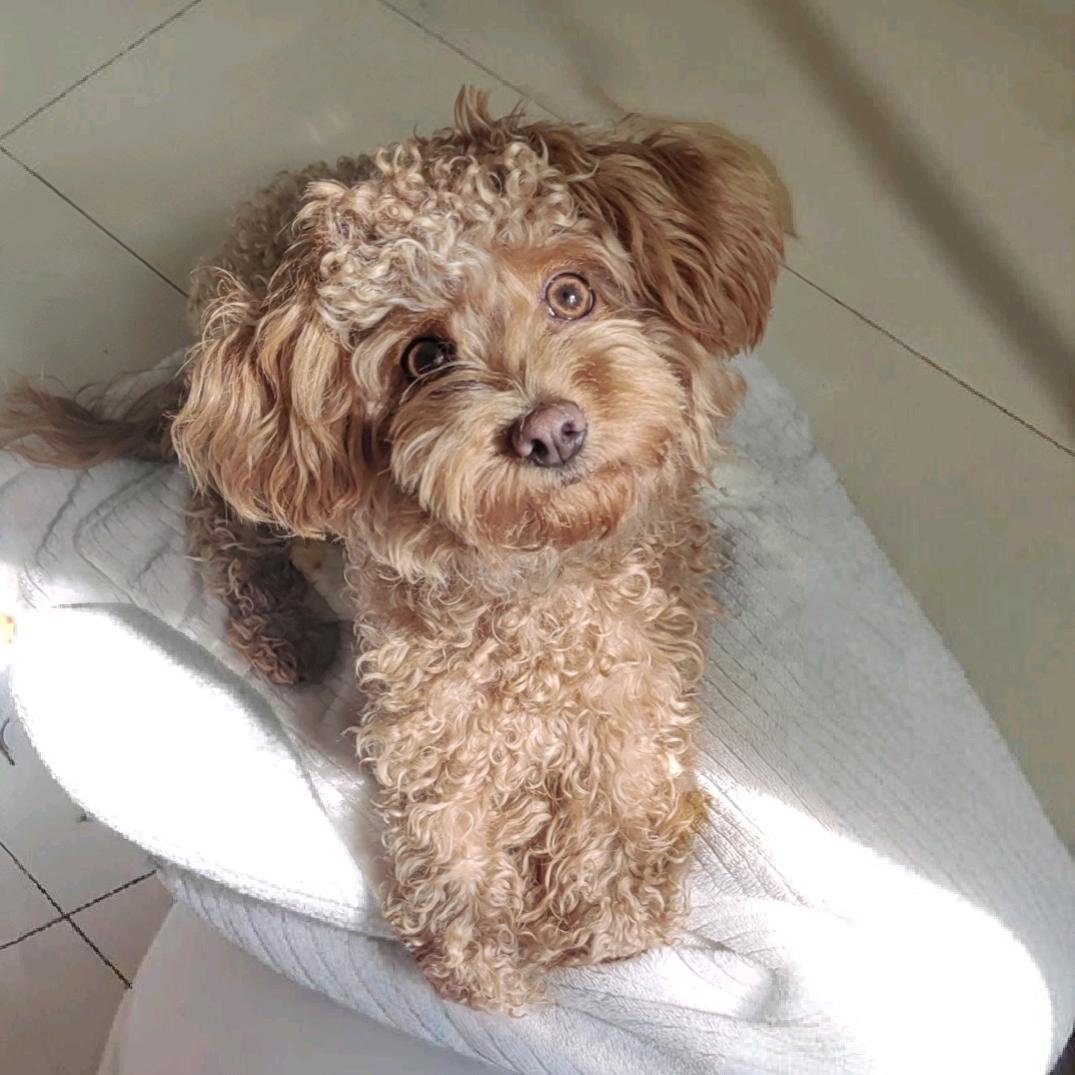 超级无敌狂暴纯爱战神