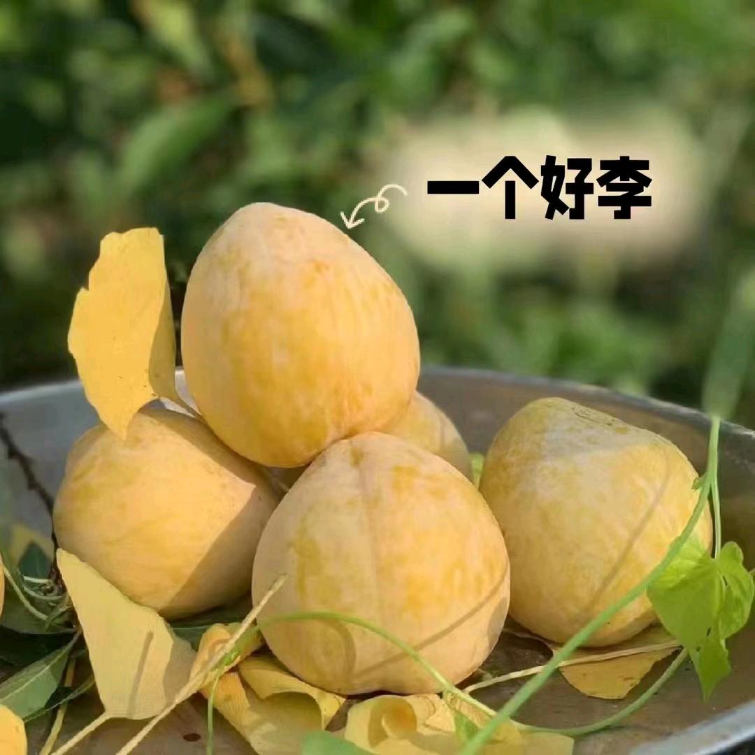 文汝生鲜甄选