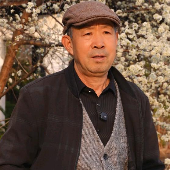 森弛SACEIS齐仙谷专卖店