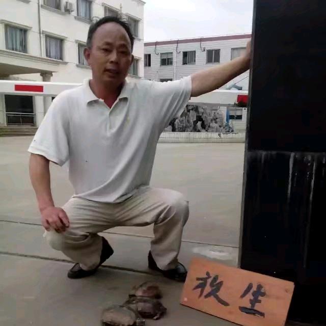 鄂东怪哥