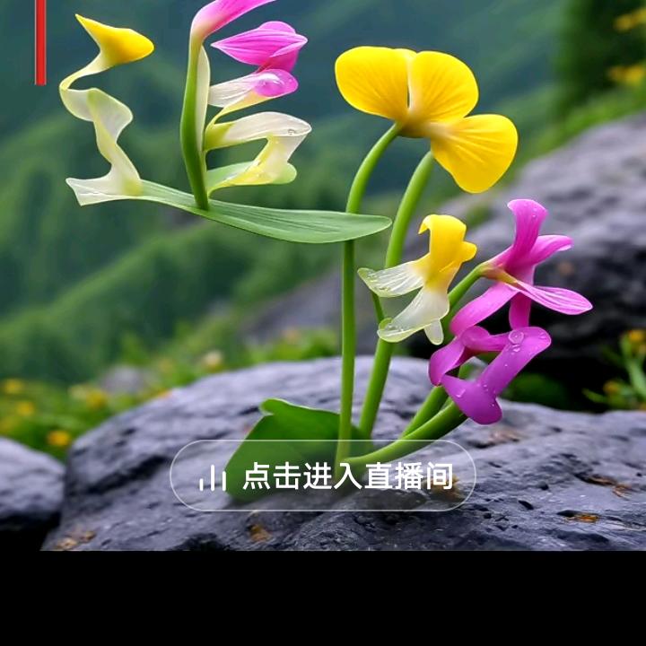 麻