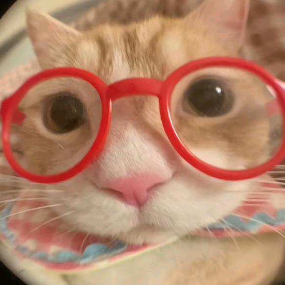 良才（摸鱼小游戏）