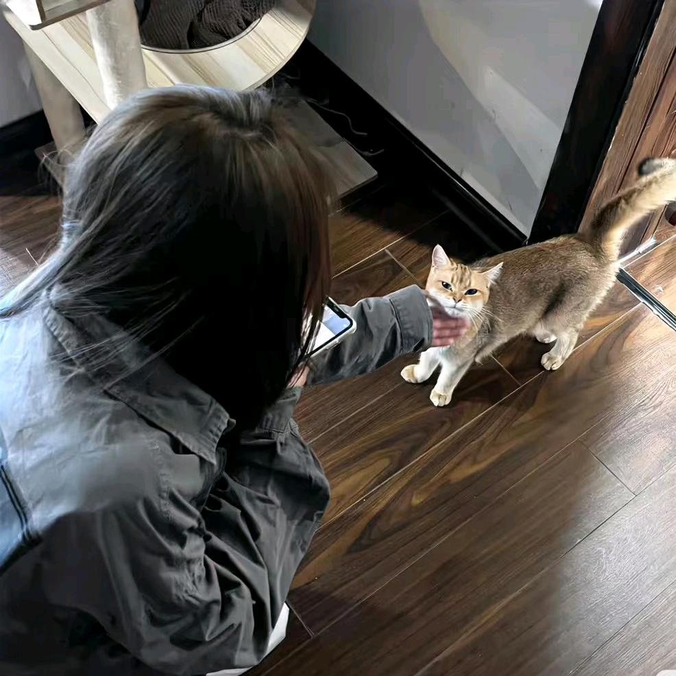 L阿漁.