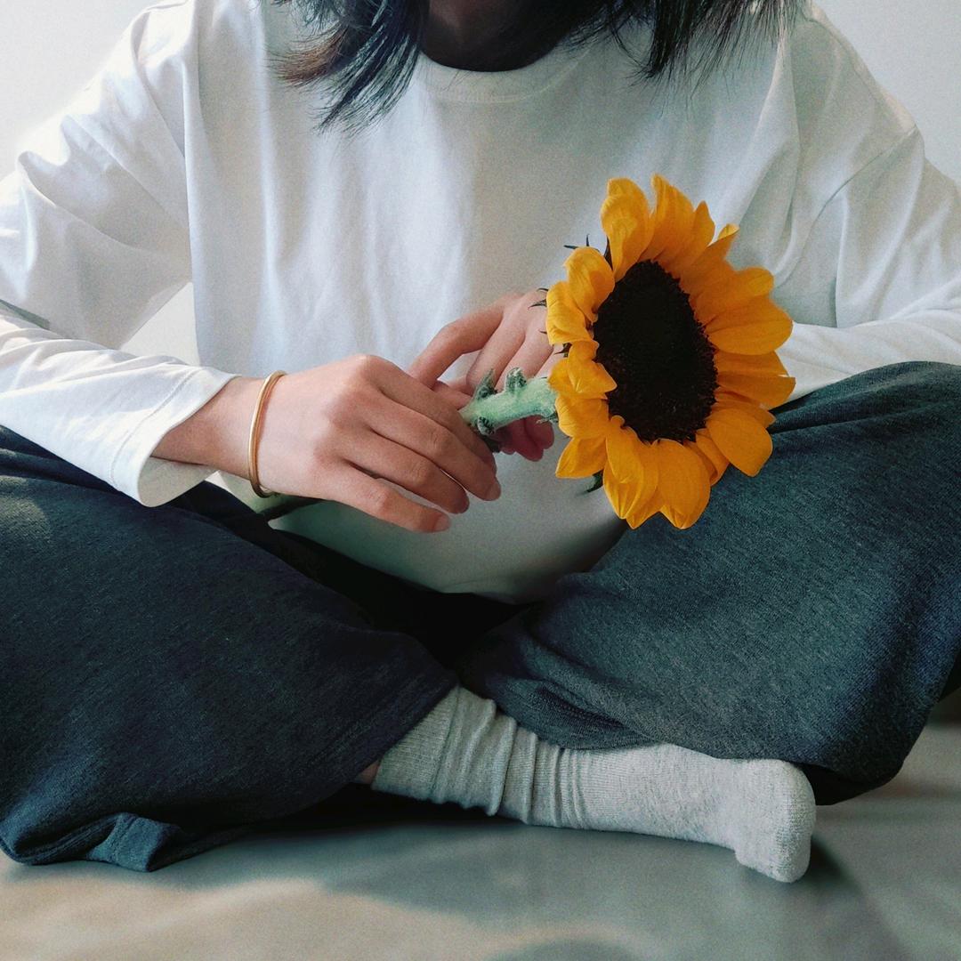 懒鱼爱上树