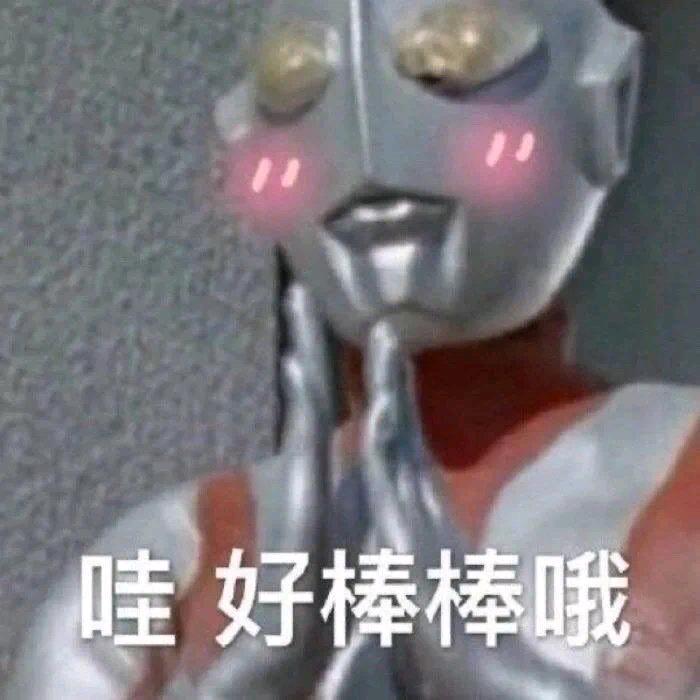 兜兜逗逗豆子🤗