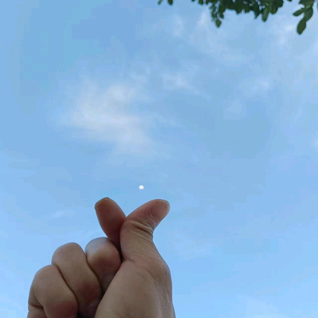 ℳঞ黎明 ໌້ᮨ显清欢