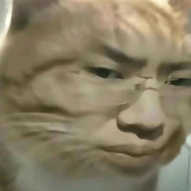 鑫情糟糕