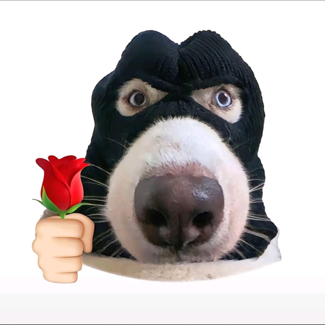 想要又大又干，还不想头变尖